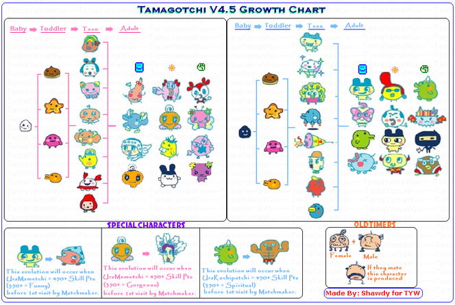 Tamagotchi Connection V5 Growth Chart